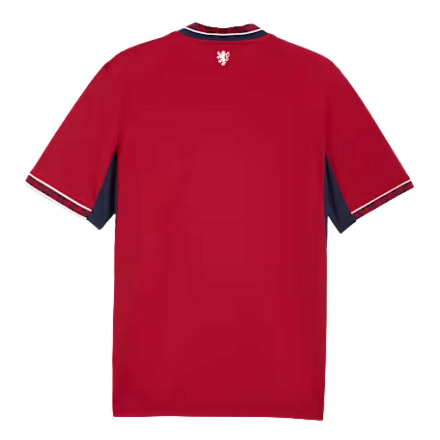 Czechia FIFA World Cup Home Jersey 2026