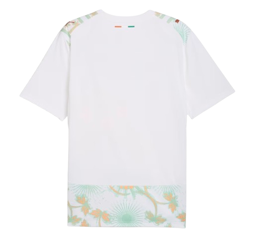Côte d'Ivoire FIFA World Cup Away Jersey 2026