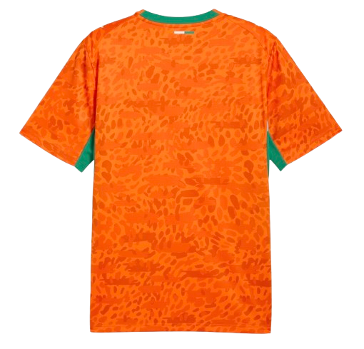 Côte d'Ivoire FIFA World Cup Home 2026