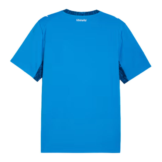 Iceland FIFA World Cup Home Jersey 2026