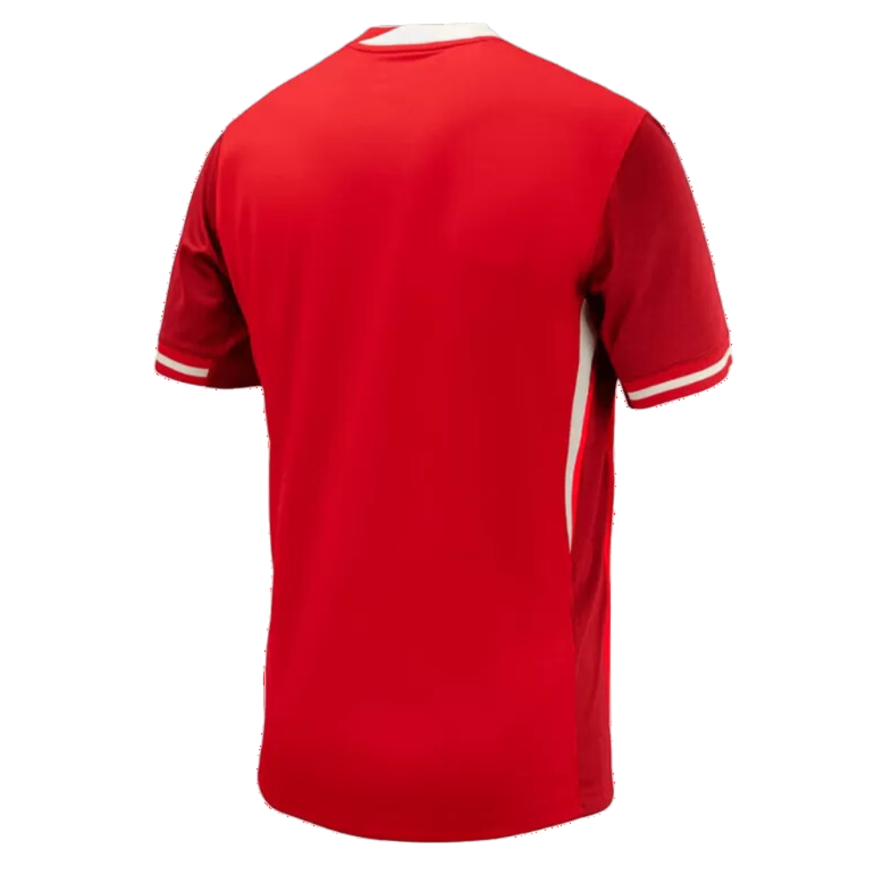 Canada Home Soccer Jersey Copa America 2024 - Goal Digger Jerseys | Authentic Soccer Jerseys High Quality