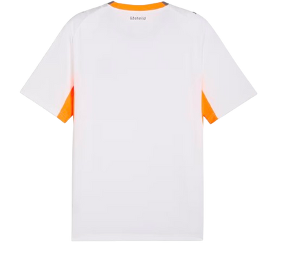 Iceland FIFA World Cup Away Jersey 2026