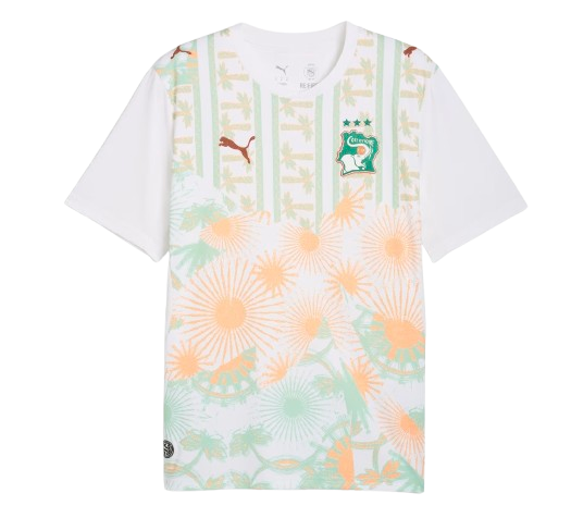 Côte d'Ivoire FIFA World Cup Away Jersey 2026