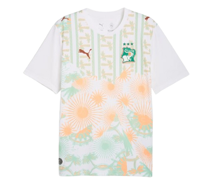 Côte d'Ivoire FIFA World Cup Away Jersey 2026