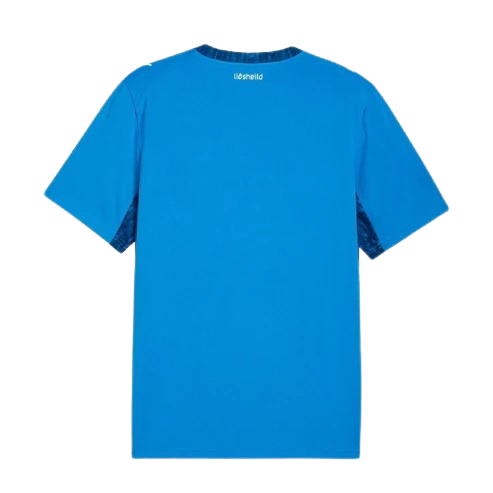 Iceland FIFA World Cup Home Jersey 2026