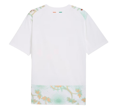 Côte d'Ivoire FIFA World Cup Away Jersey 2026