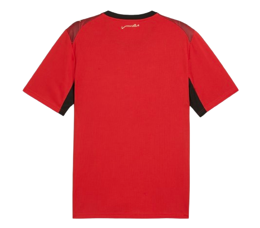 Egypt FIFA World Cup Home Jersey 2026