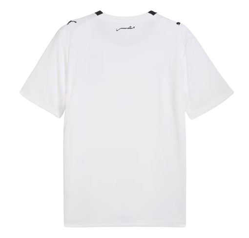Egypt FIFA World Cup Away Jersey 2026