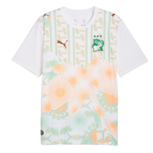 Côte d'Ivoire FIFA World Cup Away Jersey 2026